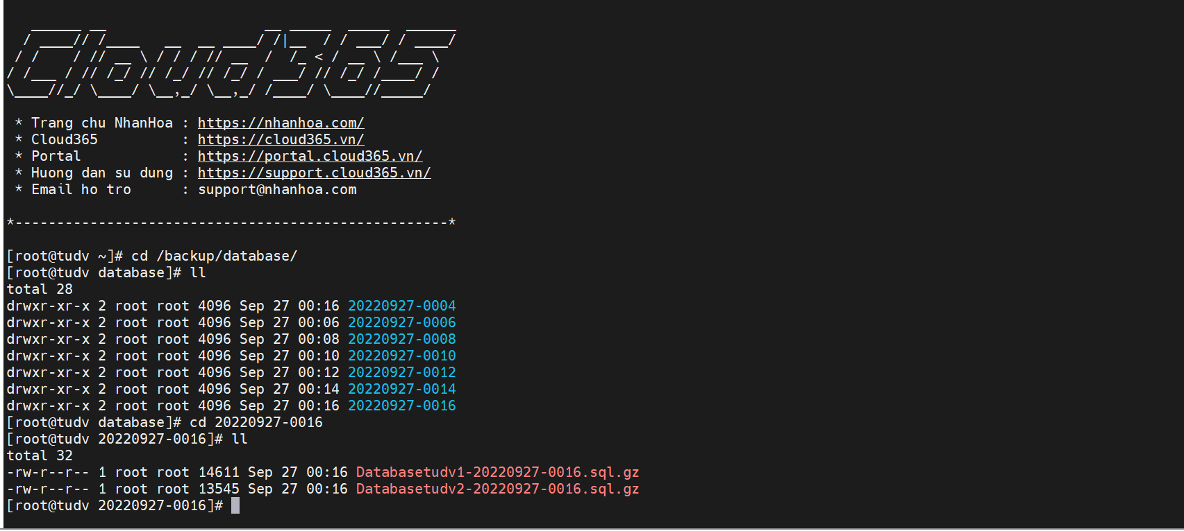 Cài Đặt LAMP VirtualHost trên CENTOS 7 Nhan Hoa Knowledgebase