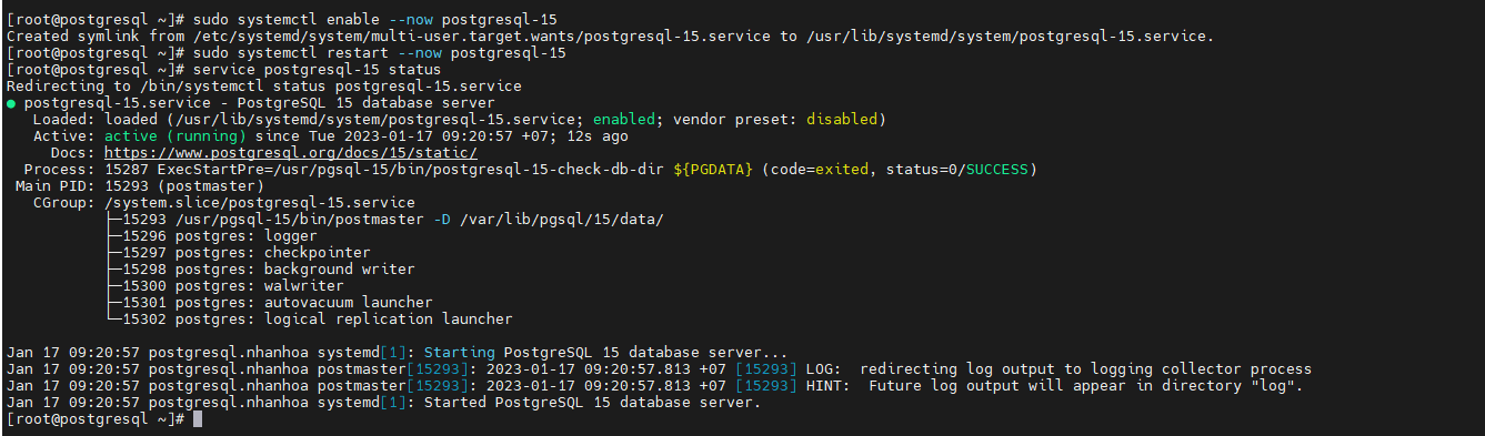 Cài đặt PostgreSQL trên CentOS 7 - Nhan Hoa Knowledgebase