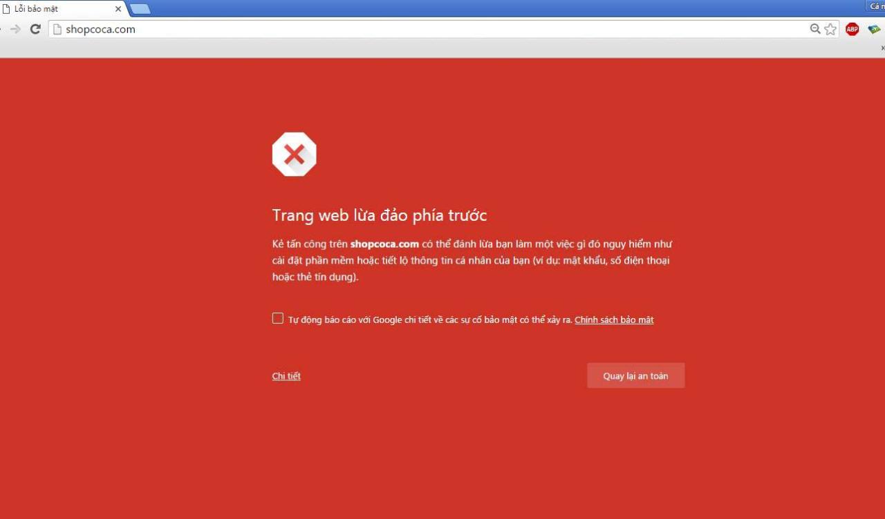 Google đưa ra cảnh báo người dùng trước các trang web độc hại
